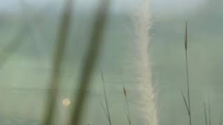 Allahul Kaafi Ukhti Ifahilalang Nan Indah