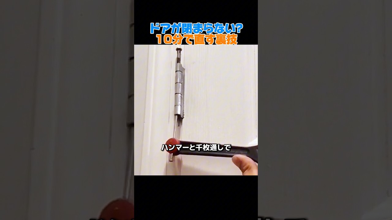 ドアが閉まらない?10分で直す裏技  #ドア修理 #DIY #生活の知恵 #簡単修理 #蝶番調整