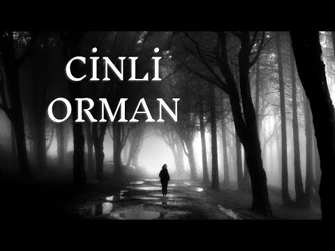 Bursa'daki Cinli Ormanda Bir Gece | Korku Hikayeleri | Paranormal Hikayeler