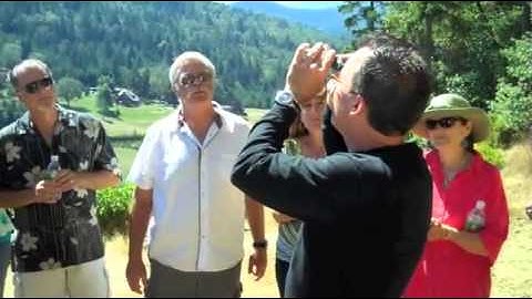 How to measure sugar in grapes