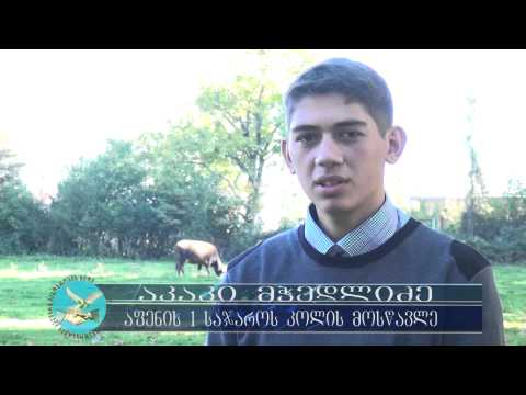 ლაგოდეხის მუნიციპალიტეტი აფენის საჯარო სკოლას განათლების სამინისტროსთან უშუამდგომლებს