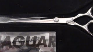 BEST HAIR CUT.. JAGUAR GOLD LINE SAPHIR 5.5 INCHES SCISSORS