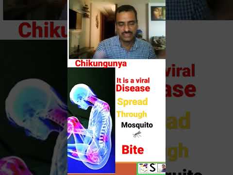 Wideo: Czy chikungunya przenosi się z osoby na osobę?