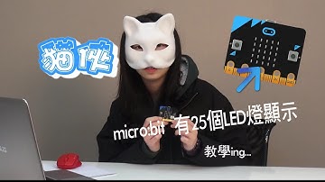貓俠- BBC micro:bit  LED燈顯示【物聯雲】