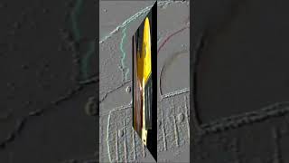 Download Lagu let's play  \ MP3