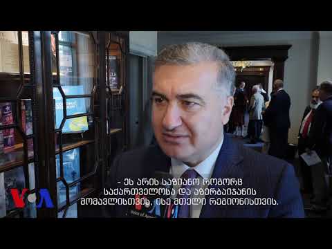 ელჩი: მუხთარლის საქმისგან არასაჭირო პოლიტიკურ სკანდალს ქმნიან