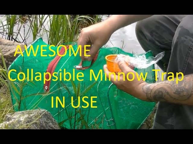 AWESOME Collapsible Minnow Trap In Use /Apocabox Gear in the Field