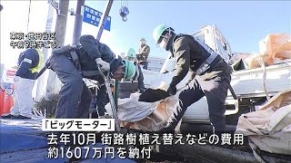 ビッグモーター店舗前の街路樹　都が原状回復工事着手　9カ所で“除草剤”検出(2024年1月15日)