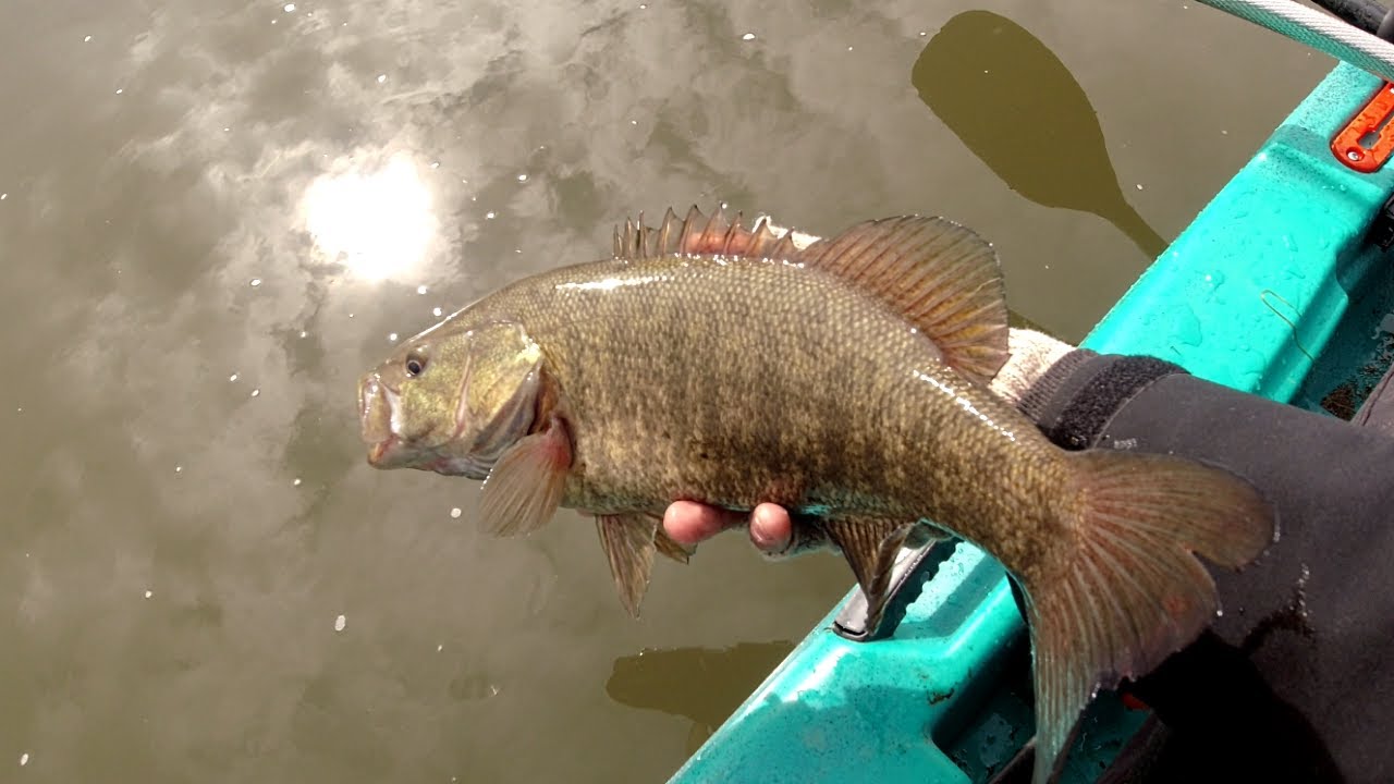 Early Spring Smallmouth Bass River Fishing (The Bite Was On