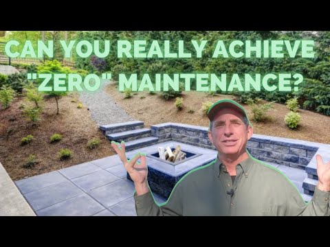 What’S The Most Low Maintenance Way To Landscape?