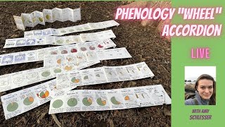 Phenology Wheel Accordion Book?!