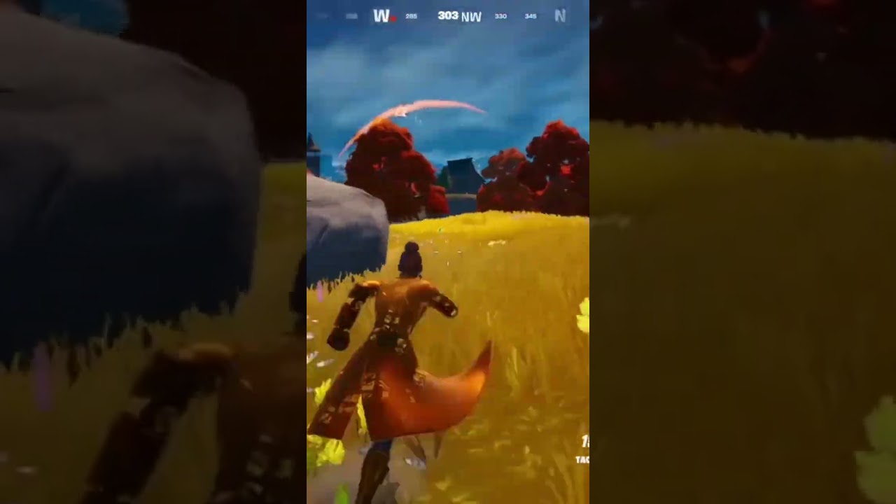 Fortnite Quick Kill Solo Win