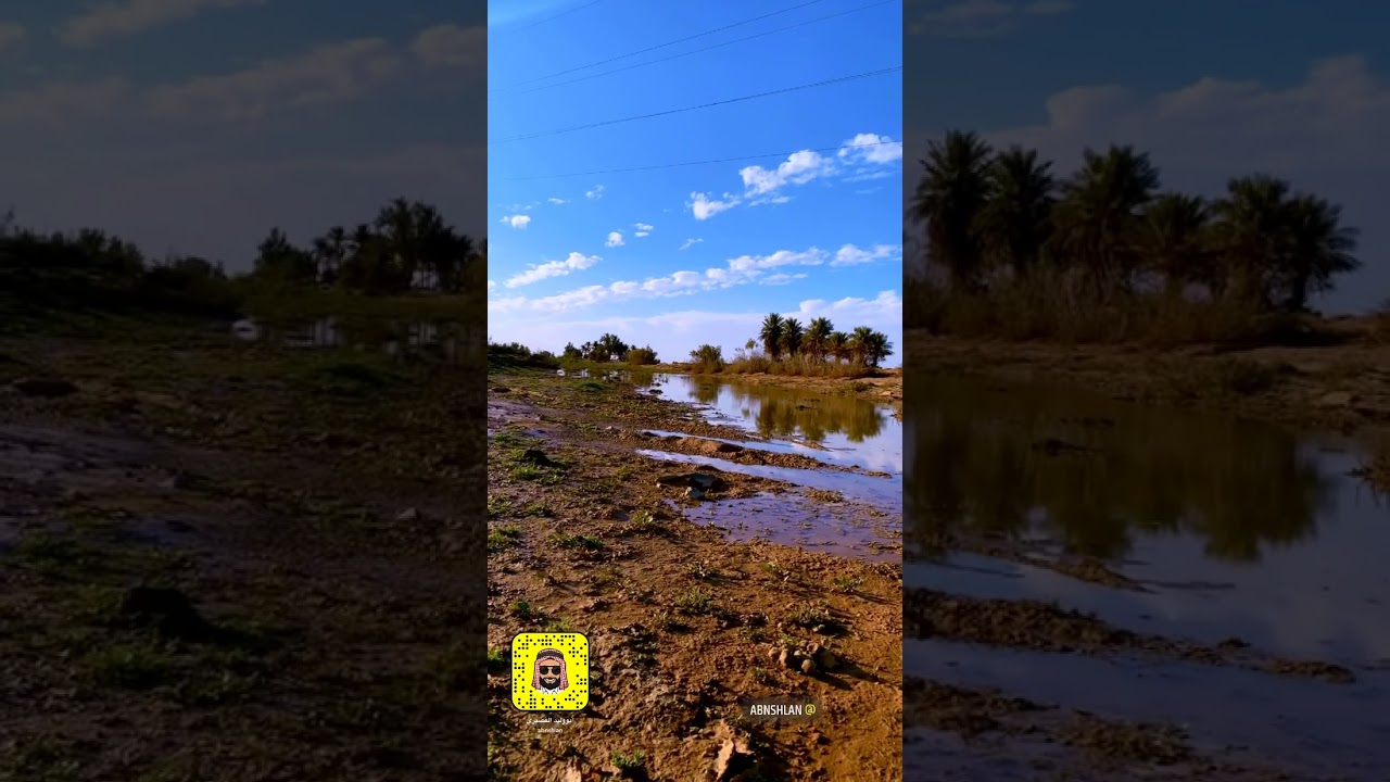 الحظ لقام باع لك واشترى لك