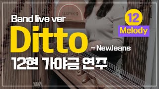 심금을 울리는 12현 가야금 'Ditto'  - NewJeans (뉴진스) :  Band Ver cover