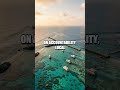 Reef Pact in Action A New Path for Coral Triangle Restoration