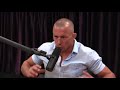 GSP "Fighting is Not My Life" - Joe Rogan