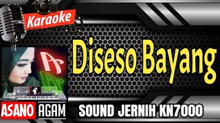 Diseso Bayang  Karaoke Minang Lamo Paling Populer cover Setereo Hd Aljes