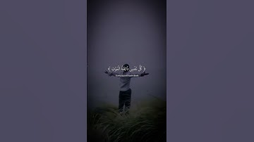 #القارئ عبدالرحمن مسعد #quran #قرآن #تلاوة_خاشعة #قران_كريم #تلاوات #قراءة