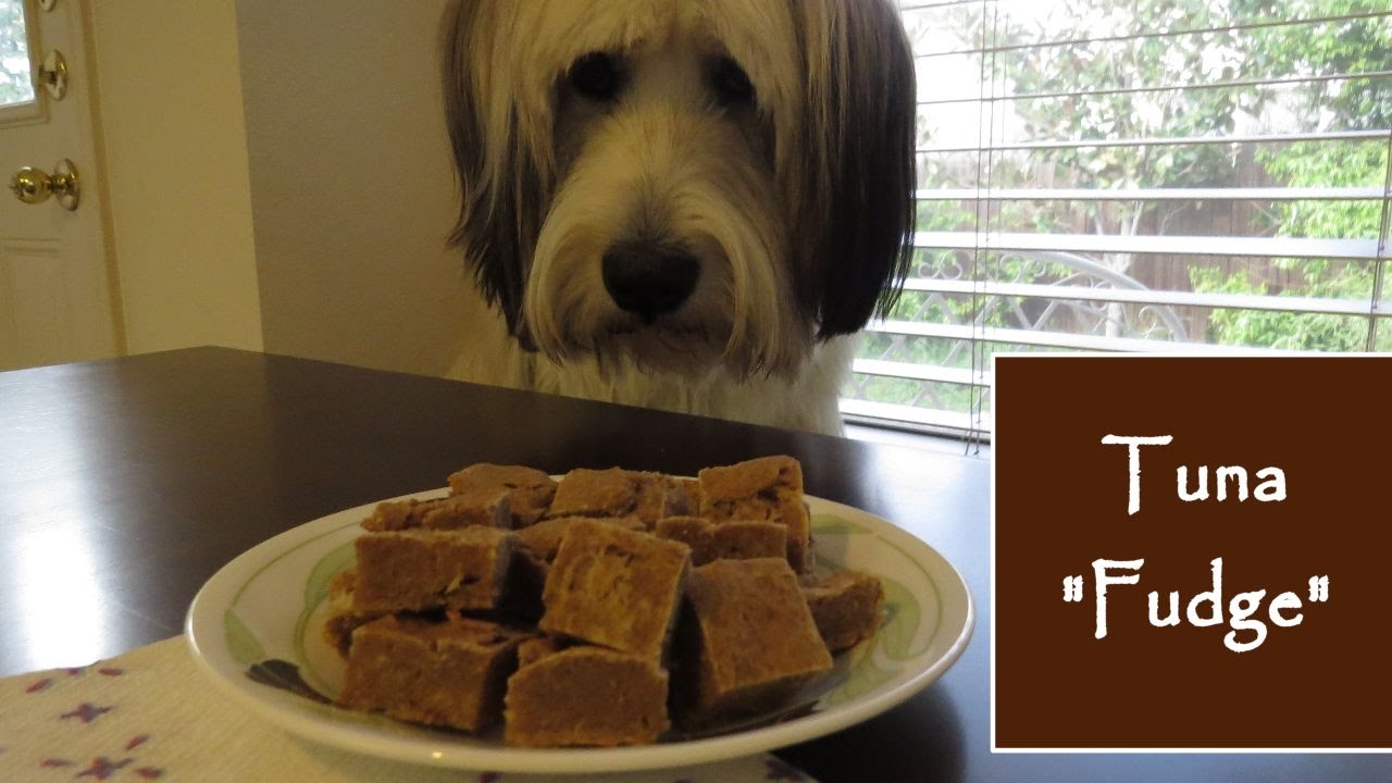 Tuna "Fudge" Cupcakes & Pupcakes YouTube