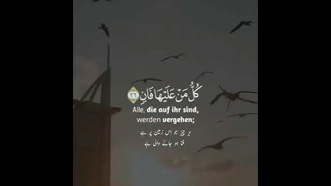 كل من عليها فان ويبقى وجه ربك ذو الجلال والإكرام  *تلاوة خاشعة*