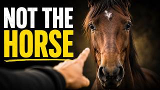 The BIGGEST MISTAKE We Make About HORSES