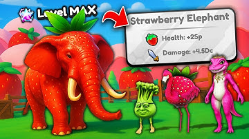 Unlocking MAX LEVEL Strawberry Elephant In Brainrot Evolution! (Roblox)