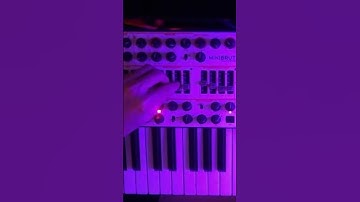 minibrute live 2024. #synth #synthesizer #ambient #analog #ambientmusic