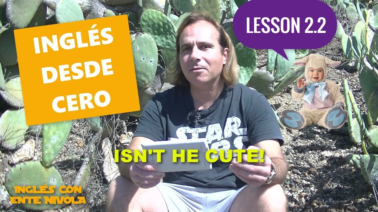 Inglés desde cero # Lección 2.2 # Preguntas y respuestas con el verbo 