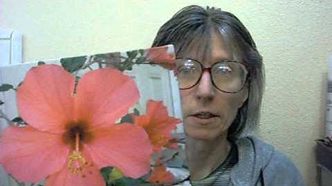 CanvasChamp.com Canvas Print Review