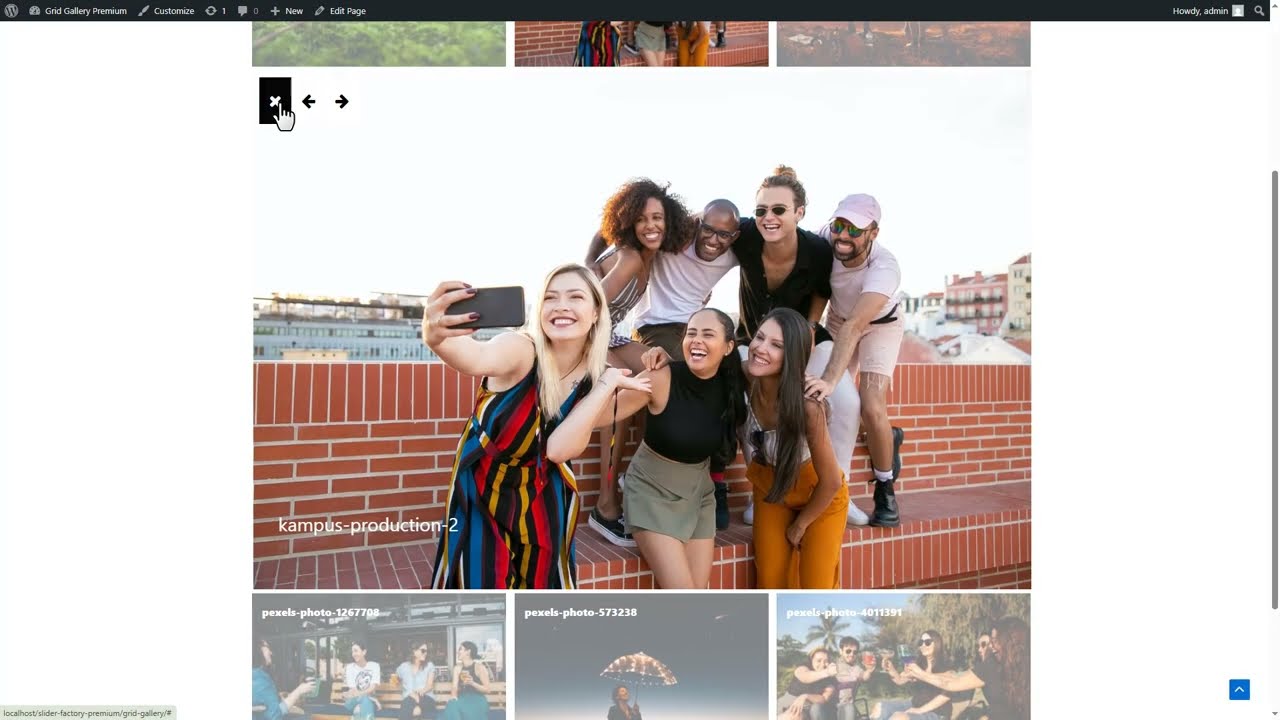 How To Install & Activate Grid Gallery Premium