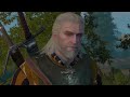 The Witcher III - Part 23