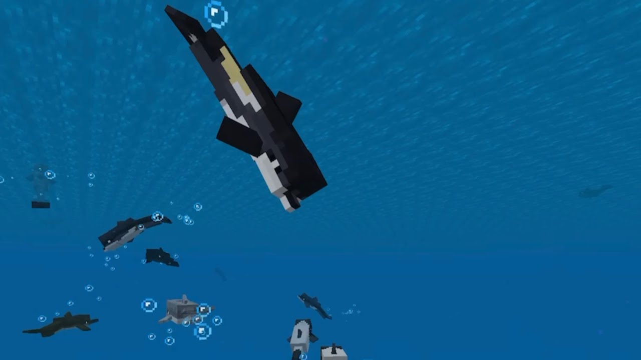 Too many dolphins addon reworked! Adding advanced behaviors and ...
