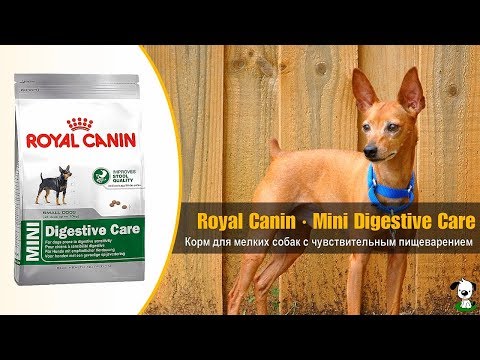 Сухой корм для собак мелких размеров с чувствительным пищеварением · Royal Canin Mini Digestive Care