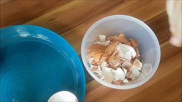 Best Way to Crush Egg Shells for worms