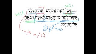 Genesis 2:22 HebrewDaybyDay