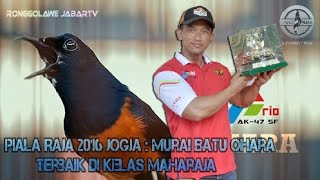 PIALA RAJA 2016 JOGJA : Murai Batu Ohara Patahkan Dominasi Di Kelas Paling Bergensi