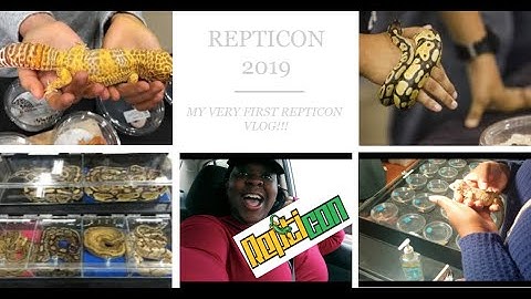 JACKSONVILLE REPTICON 2019 | My First Reptile Show!! | VLOG