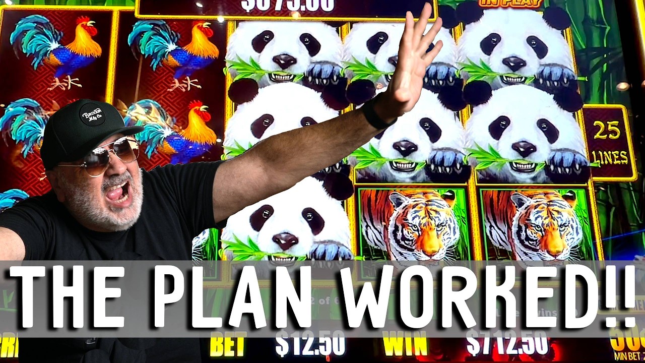 Выиграй или проиграй в Dragon Cash Panda Magic с высокими лимитами! - Стратегия сработала!