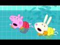 Peppa Pig Português Brasil | | Nadando 💦 Pepa ping ping | HD | Desenhos Animados