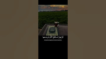 اكتب شيء تؤجر عليه 😴💚 قرآن كريم | ياسر الدوسري