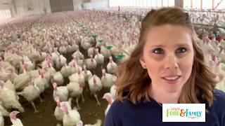 Visit an Iowa Turkey Farm | Virtual Learning Series