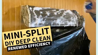 Famous Deep Cleaning a Ductless Mini-Split AC (Fujitsu) Net Worth