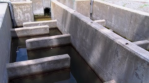 1.6 Chlorine Disinfection