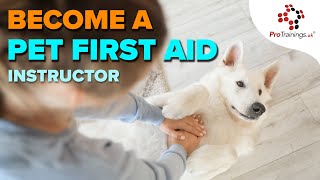 Become a Certified Pet First Aid Instructor: Start Your Training Today!