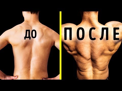 5 супер простых упражнений для широкой и сильной спины