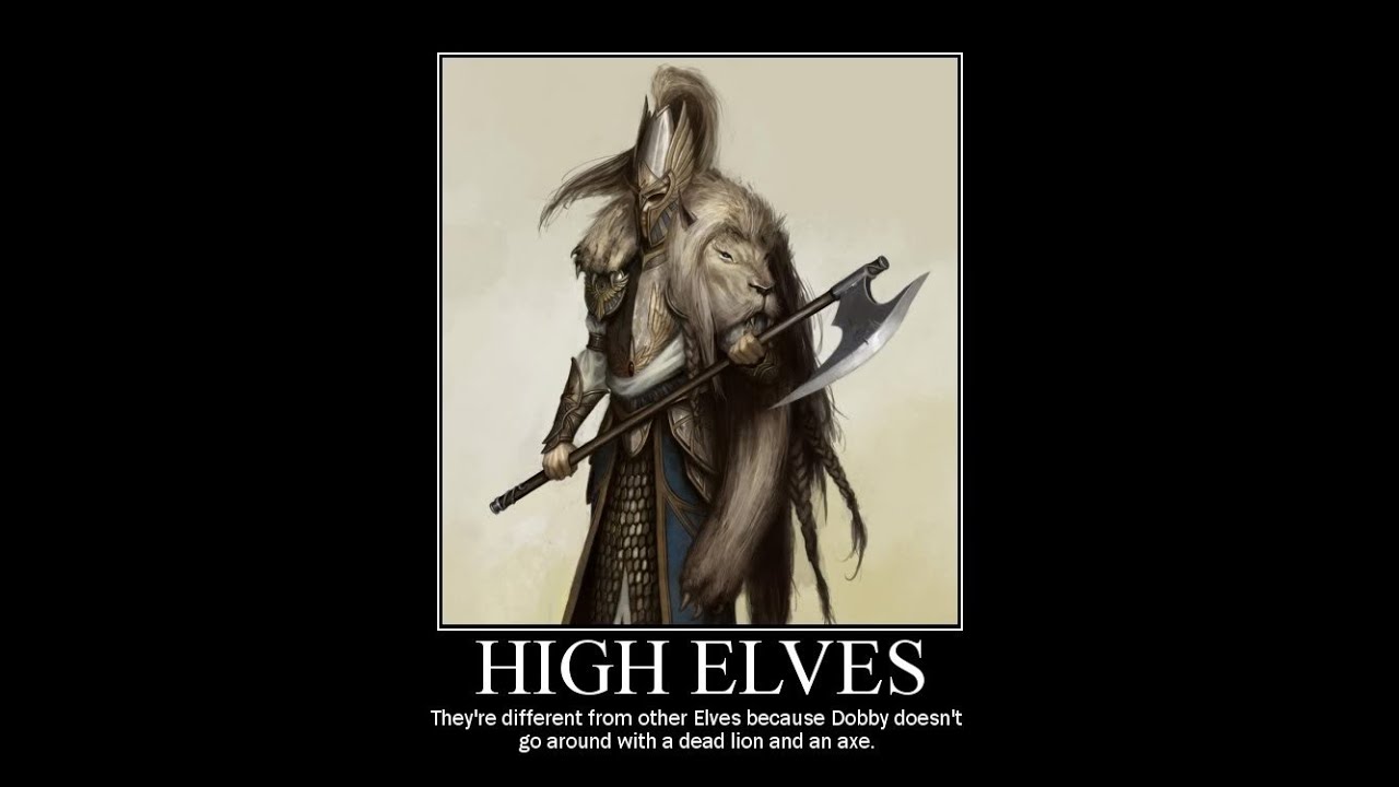 Warhammer fantasy battle report high elves lord