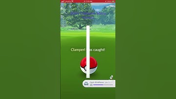 Field Research Shiny Clamperl plus Evolution into Shiny Huntail in Pokémon Go #pokemon #shinypokemon