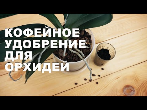 Удобрение для орхидей из кофе. Настойка из кофейной гущи для комнатных растений.