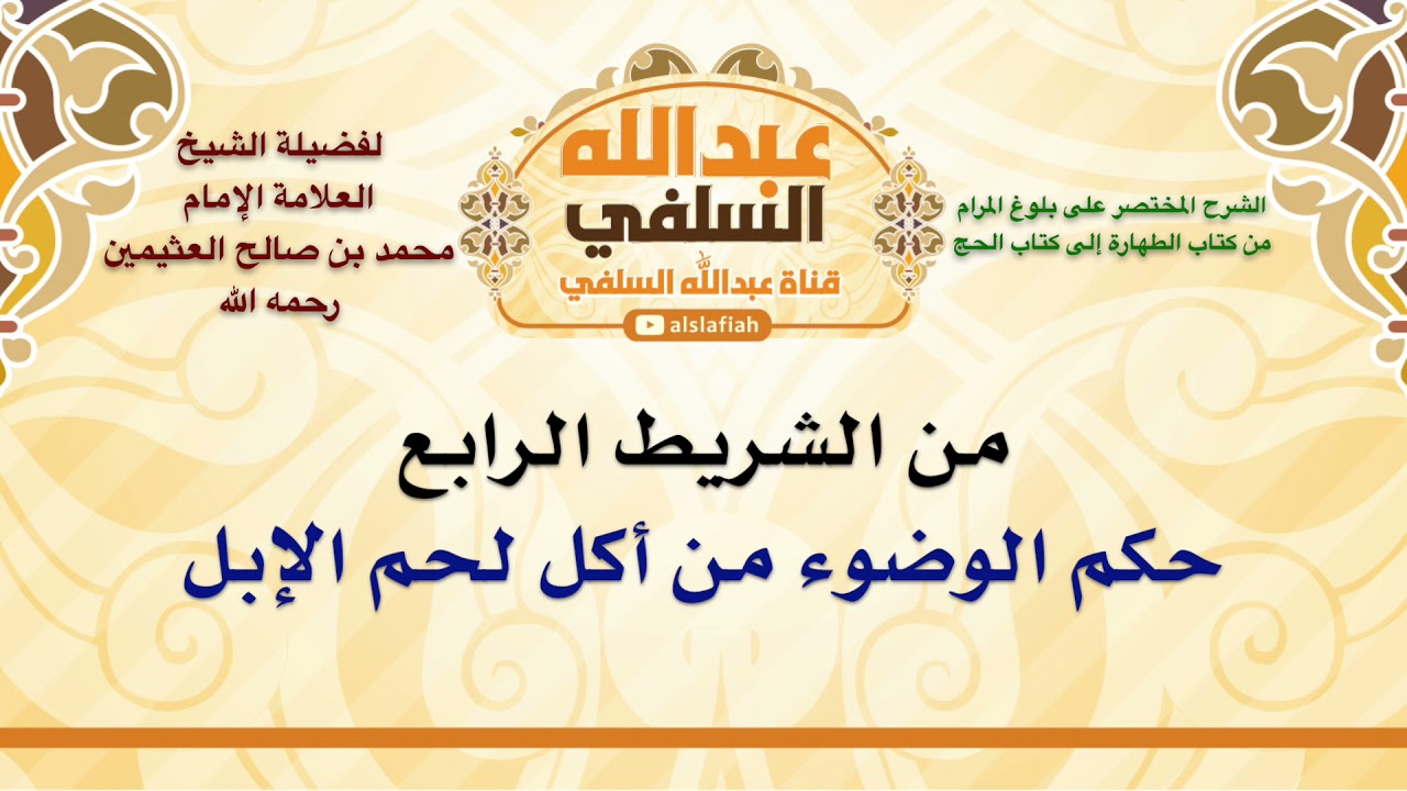 الشيخ ابن عثيمين : حكم الوضوء من لحم الغنم