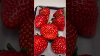 Why are these strawberries so PERFECT…